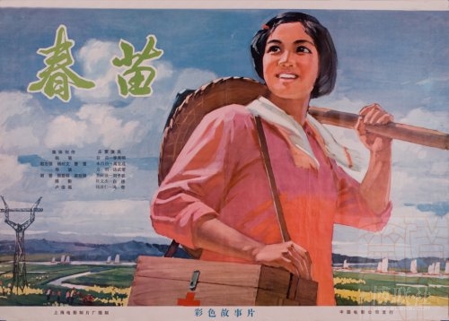 凡努济美术学院Accounting Diplom